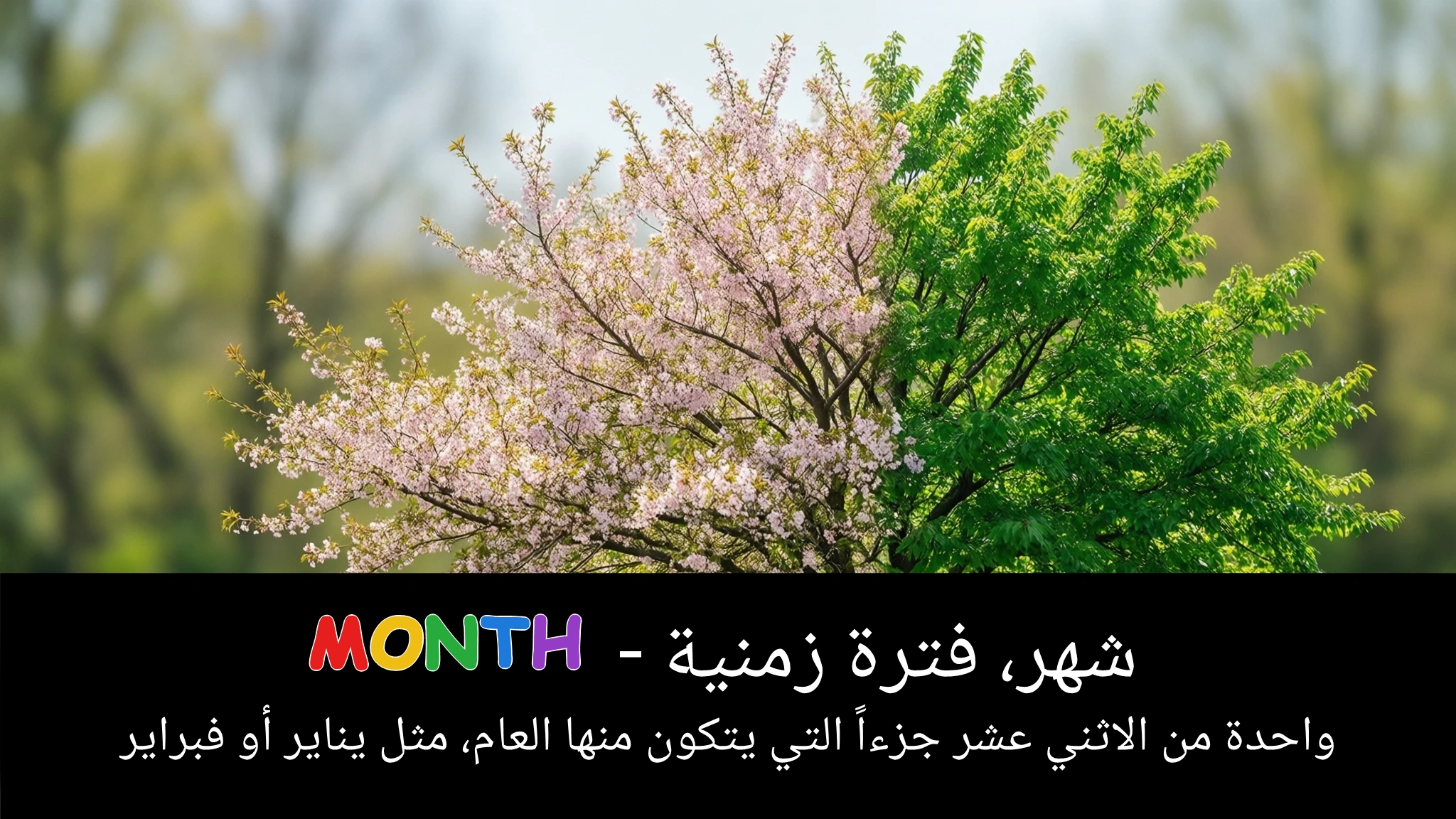 Arabic Illustration for month